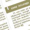 Szata graficzna mediów ekranowych. Strony internetowe, prezentacje, interfejsy.